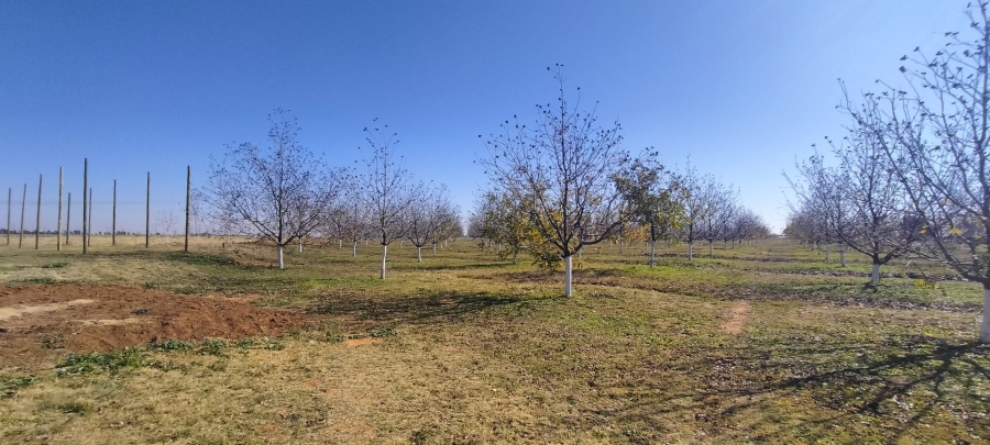 Commercial Property for Sale in Arcadia SH Free State